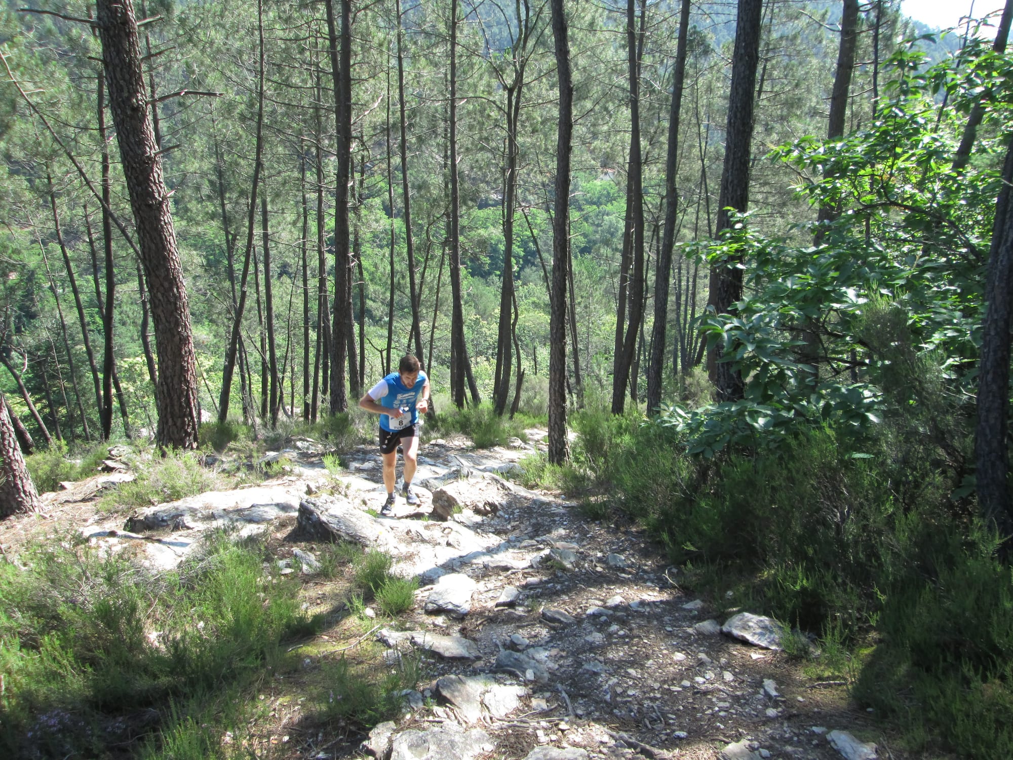 La Nouvelle Calade - 31ème édition