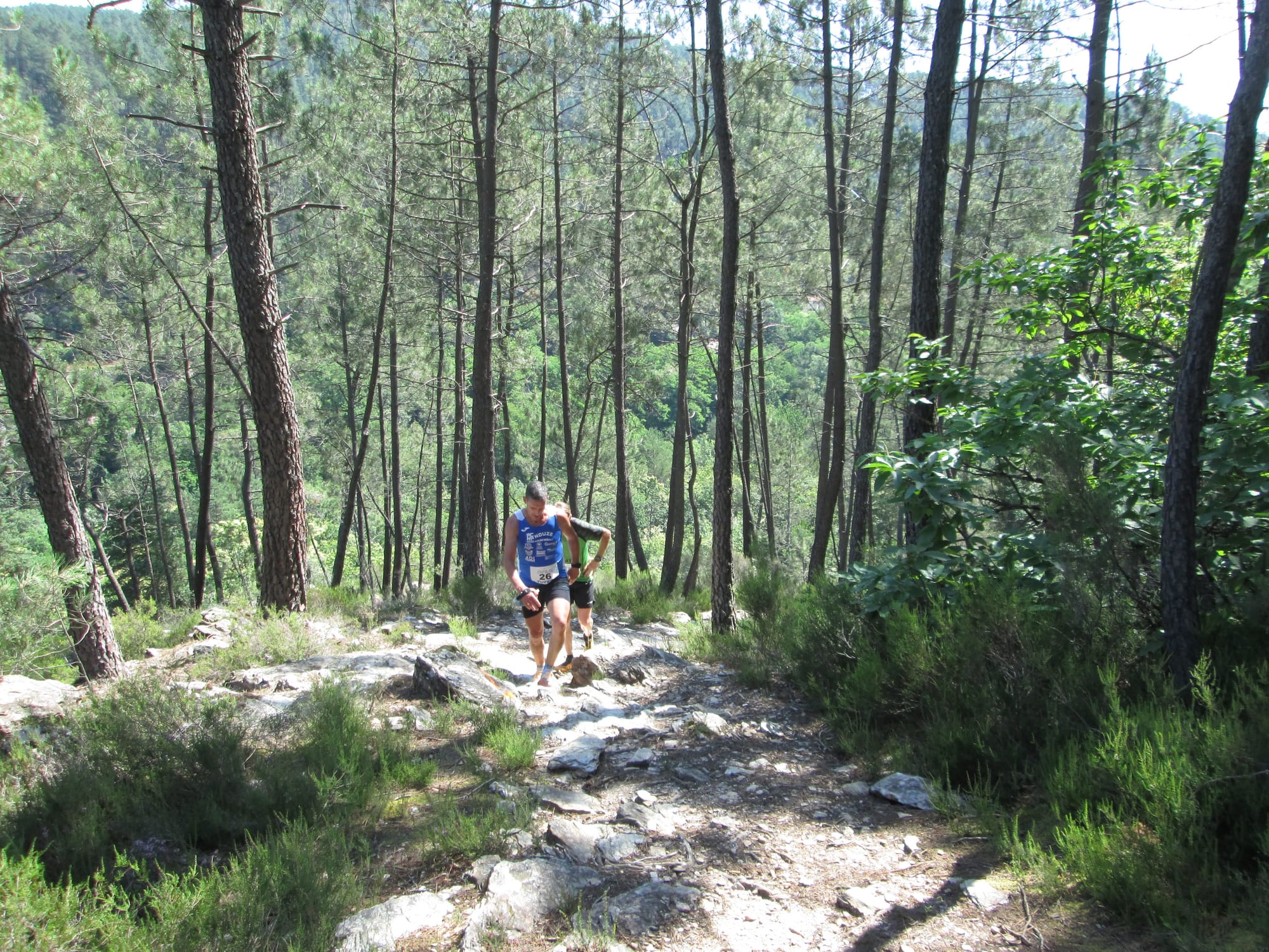 La Nouvelle Calade - 31ème édition