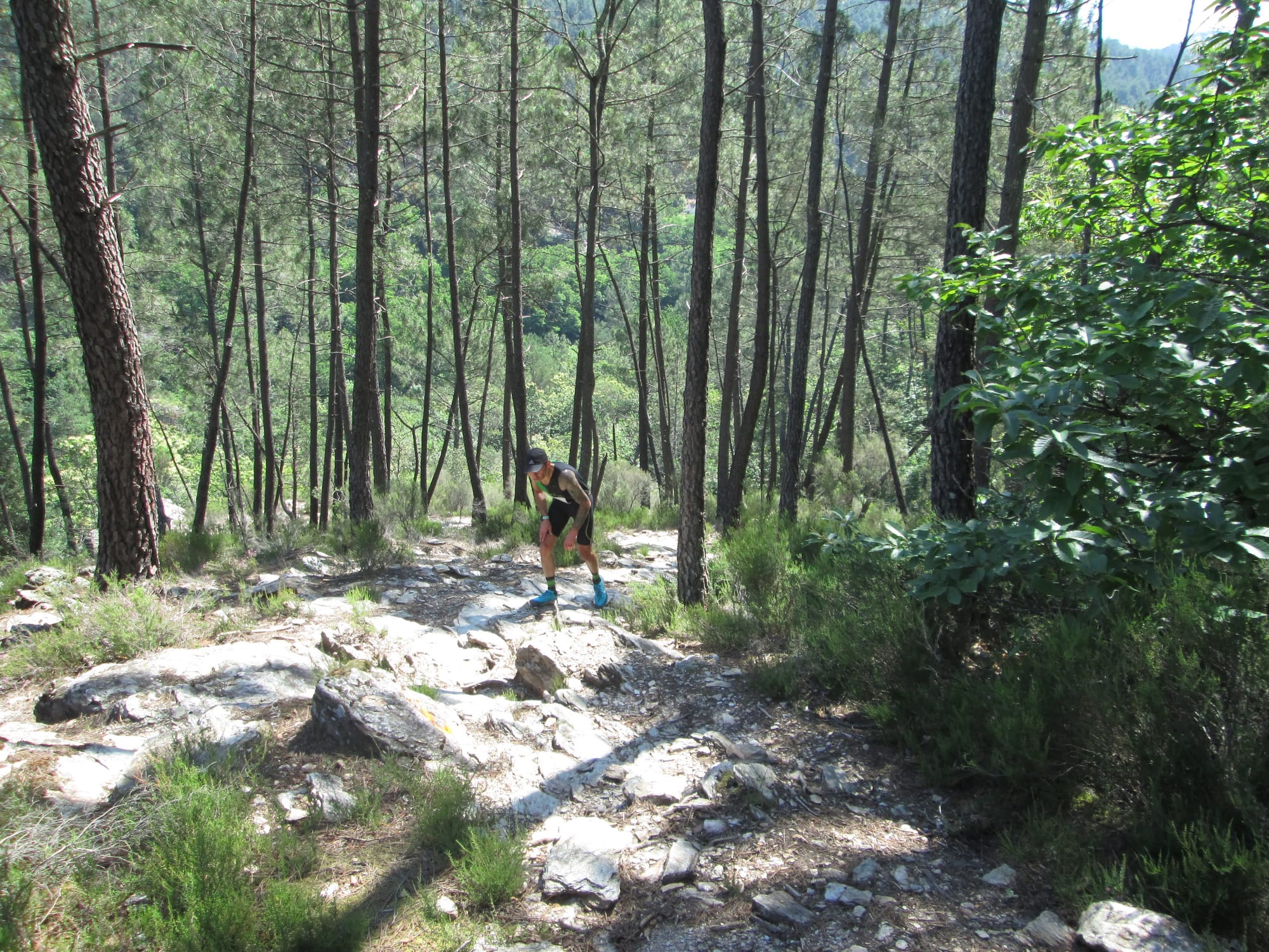 La Nouvelle Calade - 31ème édition