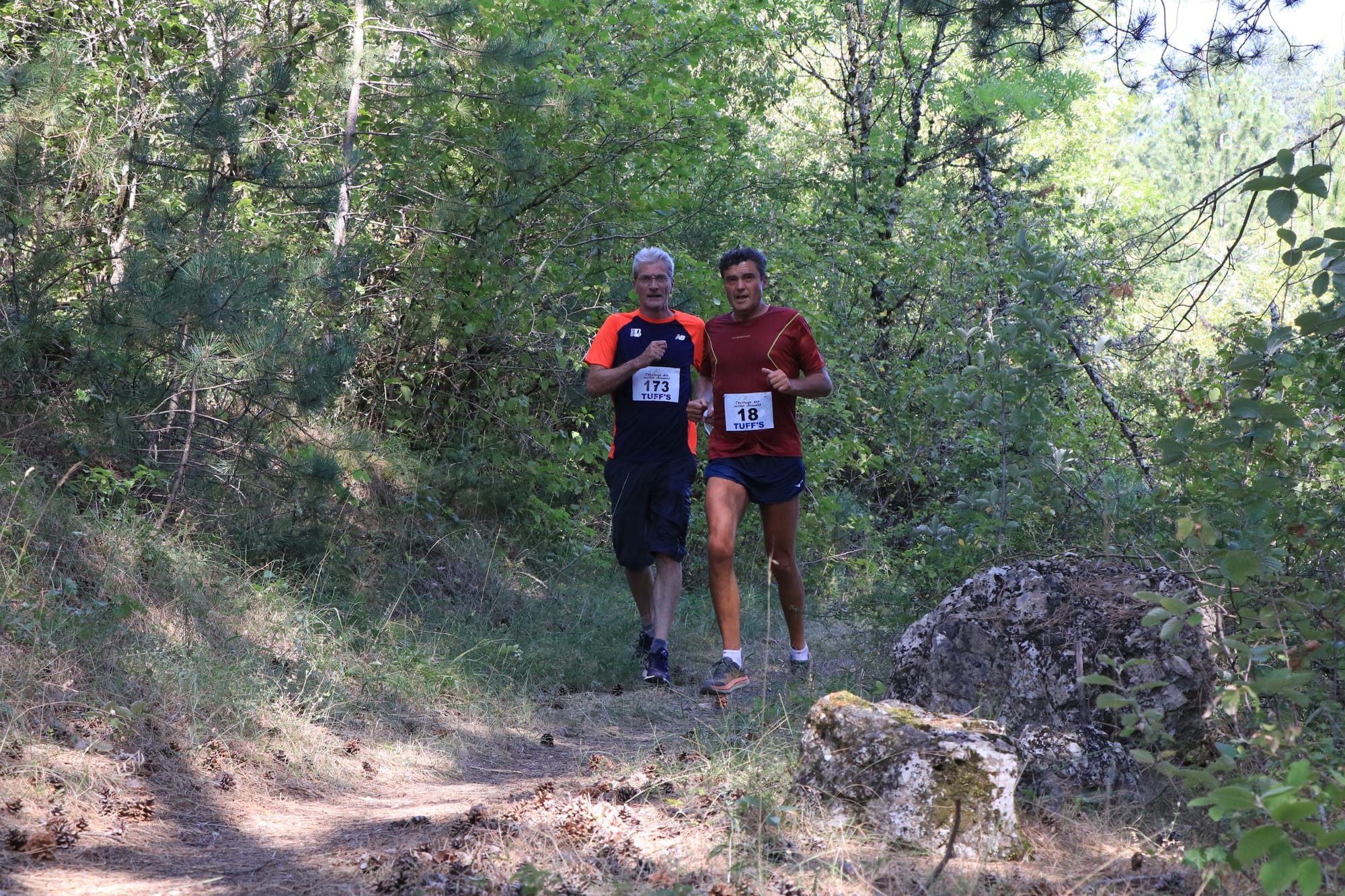 Le Tour du Dolmen - 36ème édition