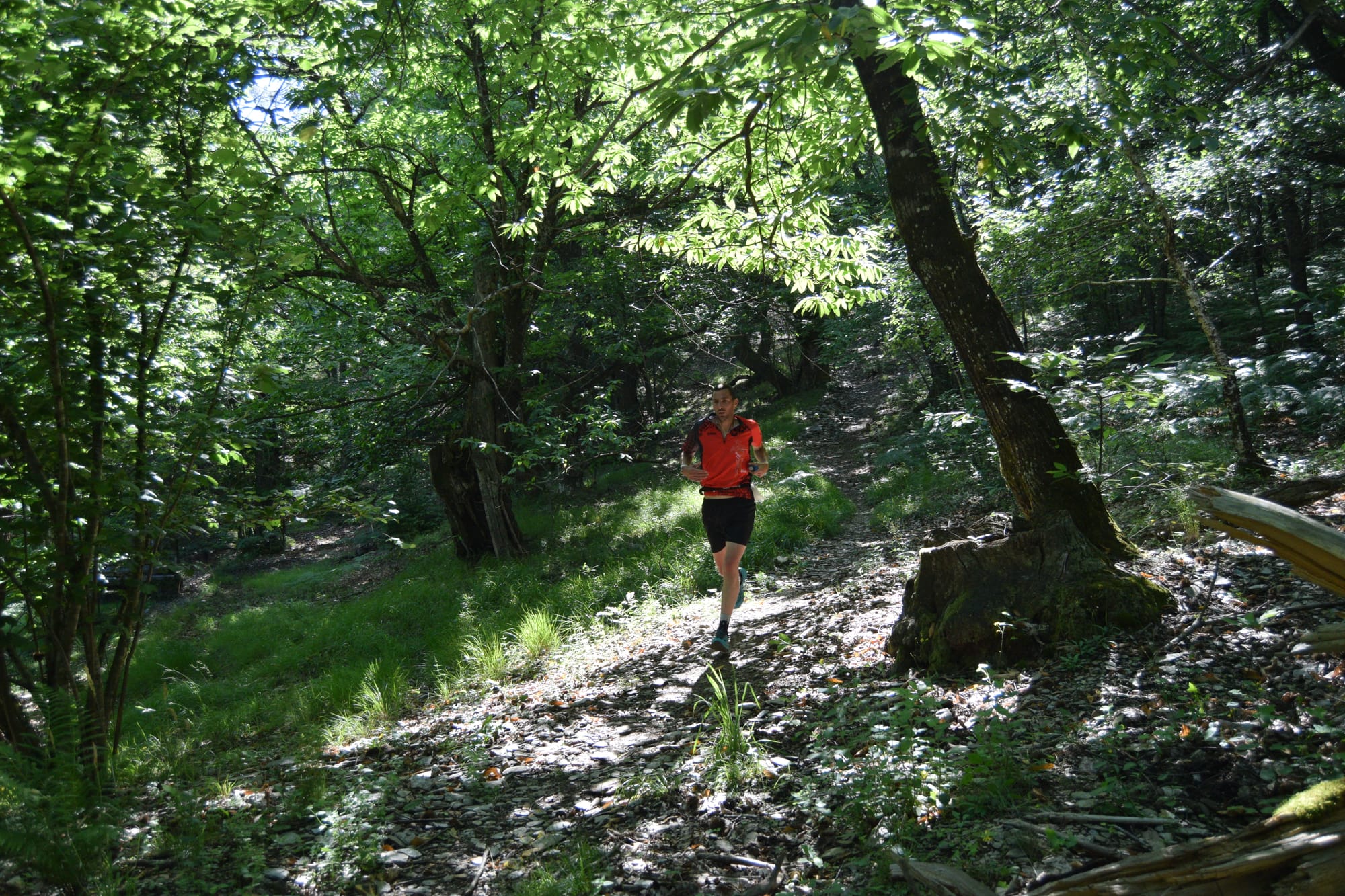 32ème édition de La Nouvelle Calade 