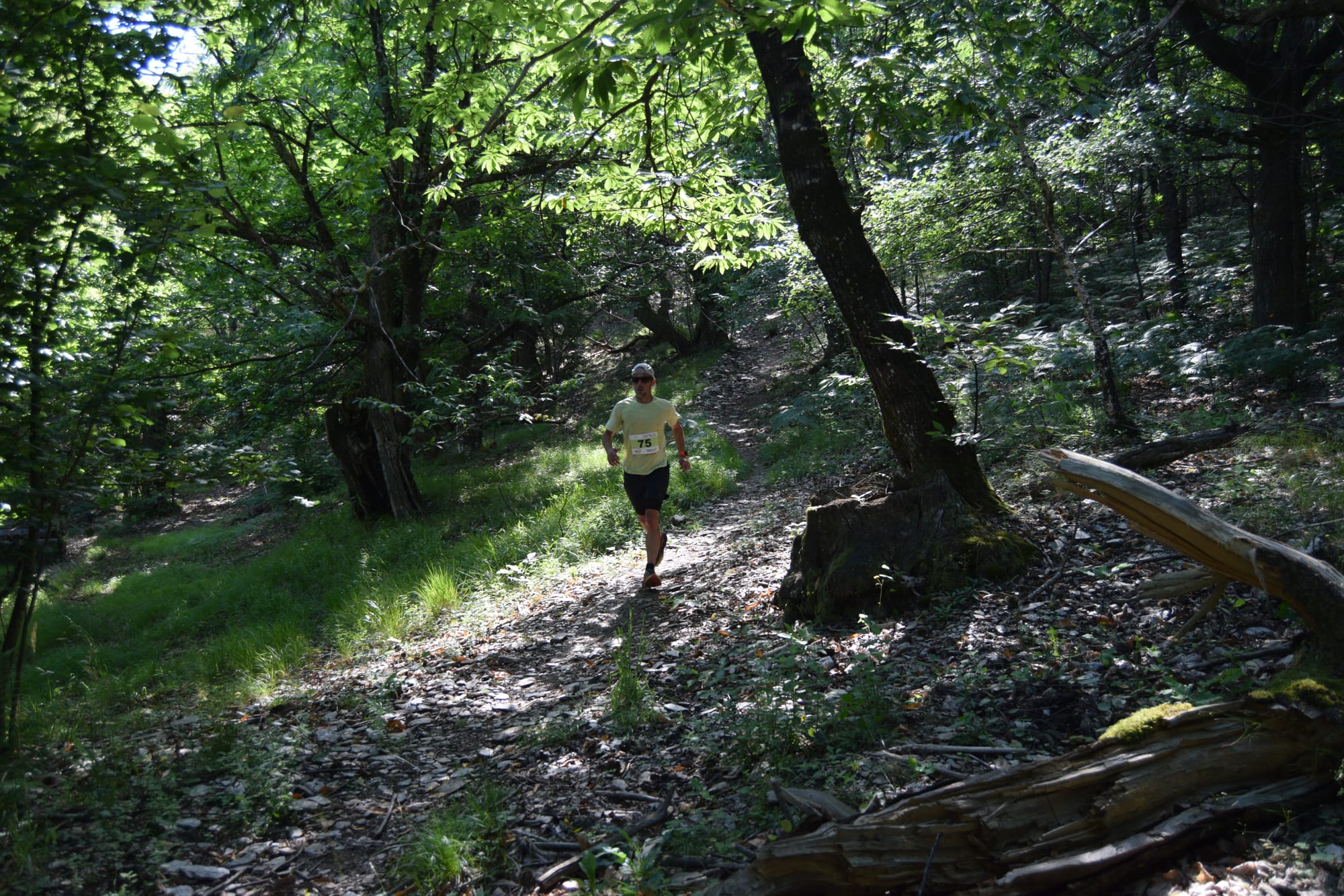 32ème édition de La Nouvelle Calade 