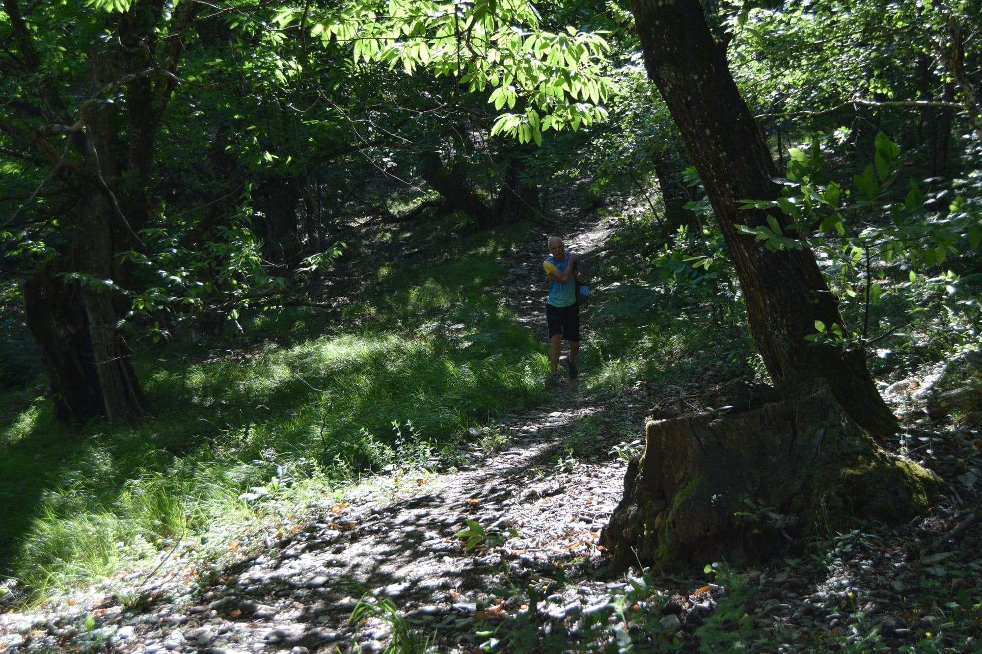 32ème édition de La Nouvelle Calade 