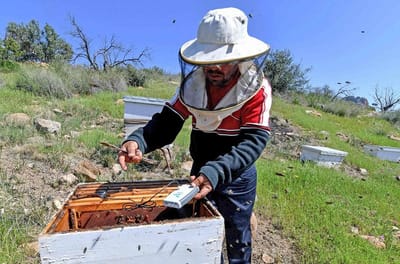 القسم الزراعي image