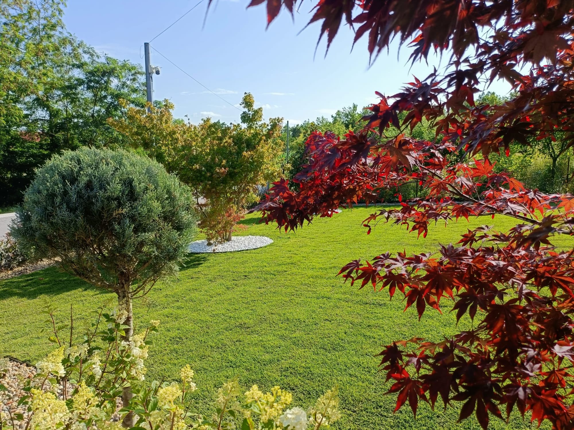 Amenajare stil mediteranian Satu Mare