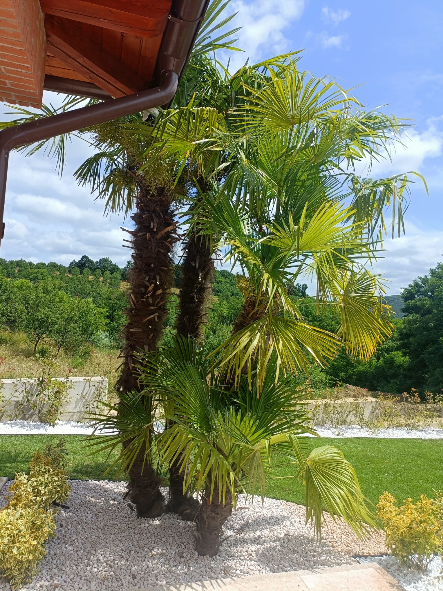 Amenajare stil mediteranian Satu Mare