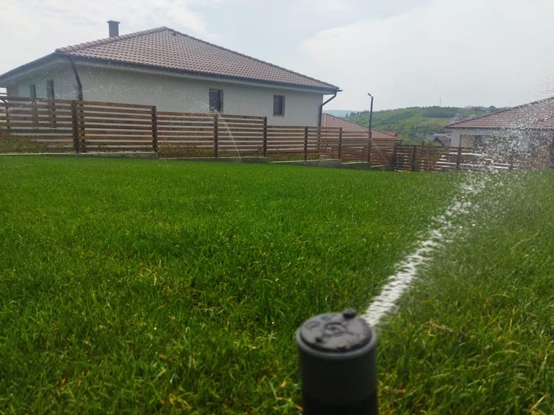 Amenajare curte + pavare