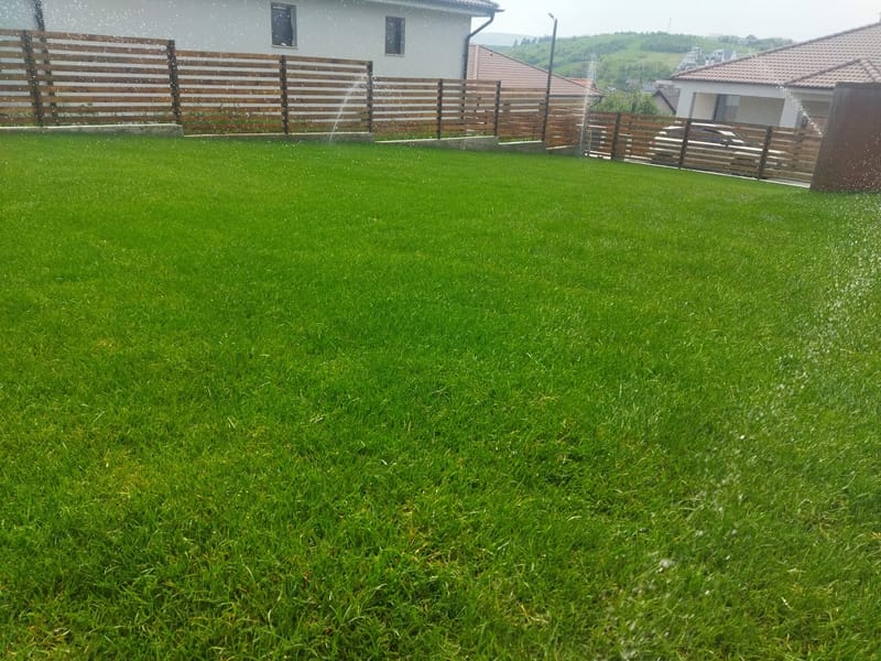 Amenajare curte + pavare