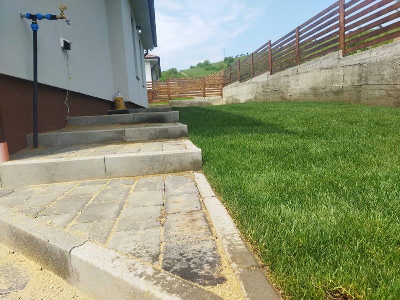 Amenajare curte + pavare