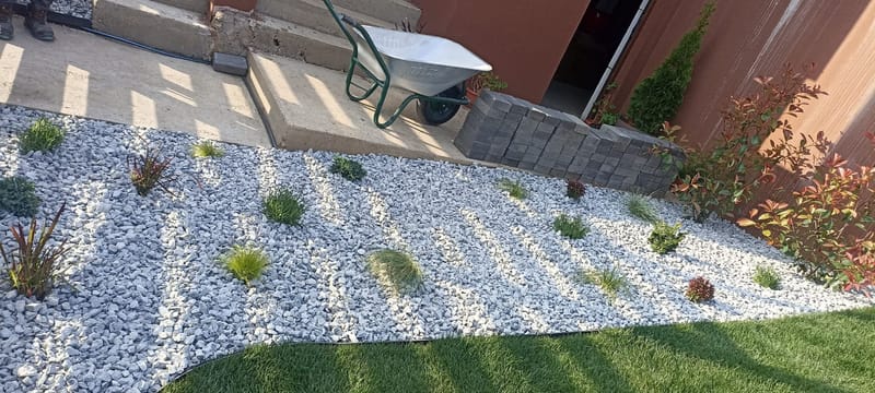 Amenajare curte + pavare