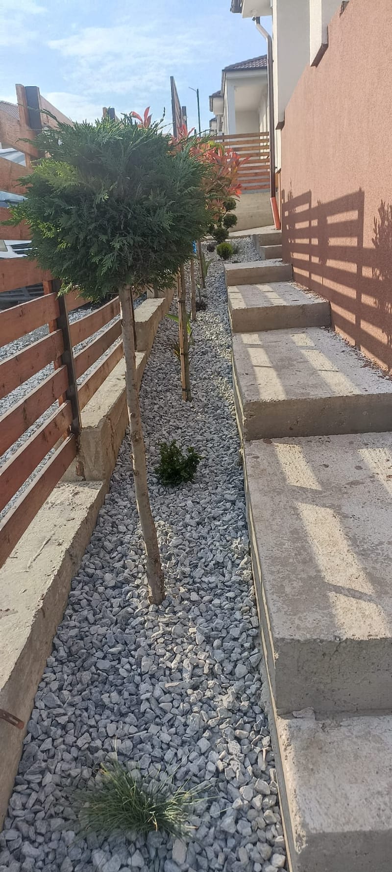 Amenajare curte + pavare