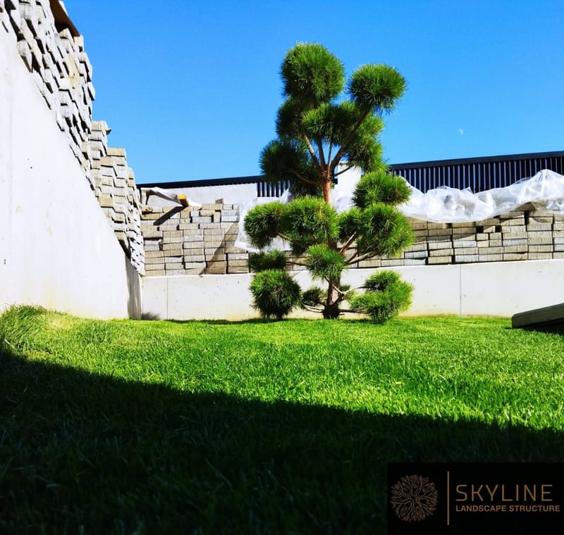 Amenajare gradina stil contemporan