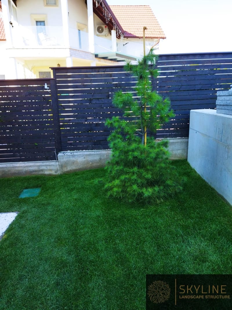 Amenajare gradina stil contemporan