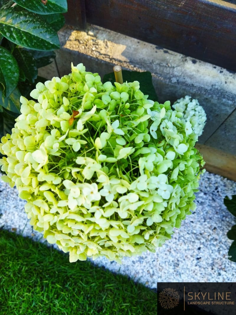 Amenajare gradina stil contemporan