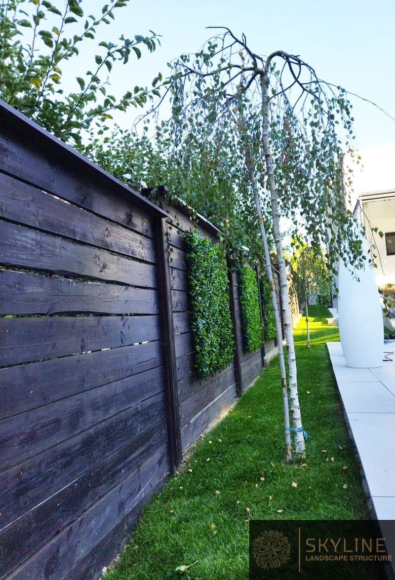 Amenajare gradina stil contemporan