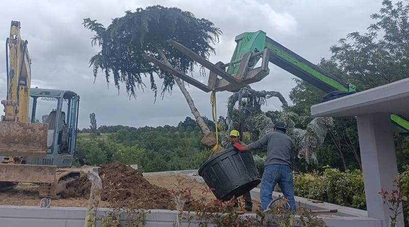 Amenajare curte stil mediteranian