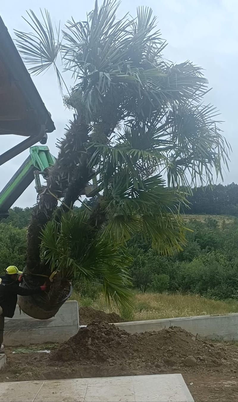 Amenajare curte stil mediteranian