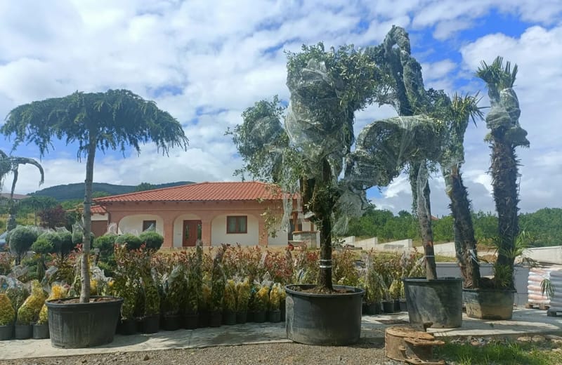 Amenajare curte stil mediteranian