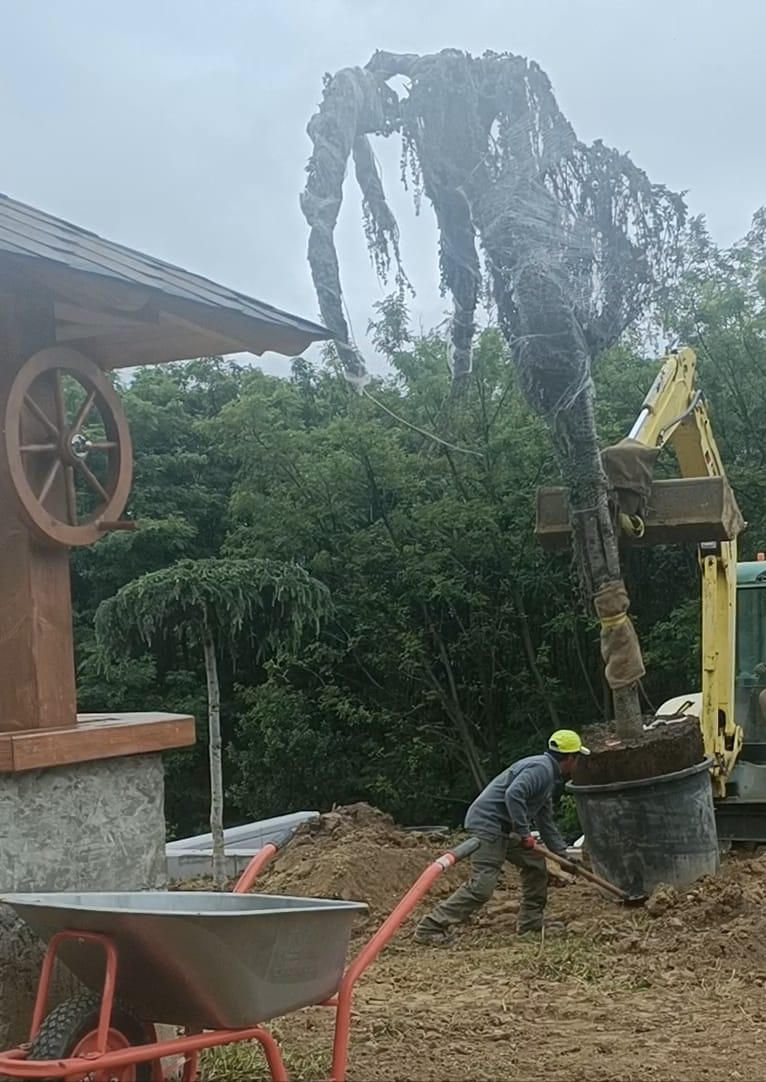 Amenajare curte stil mediteranian