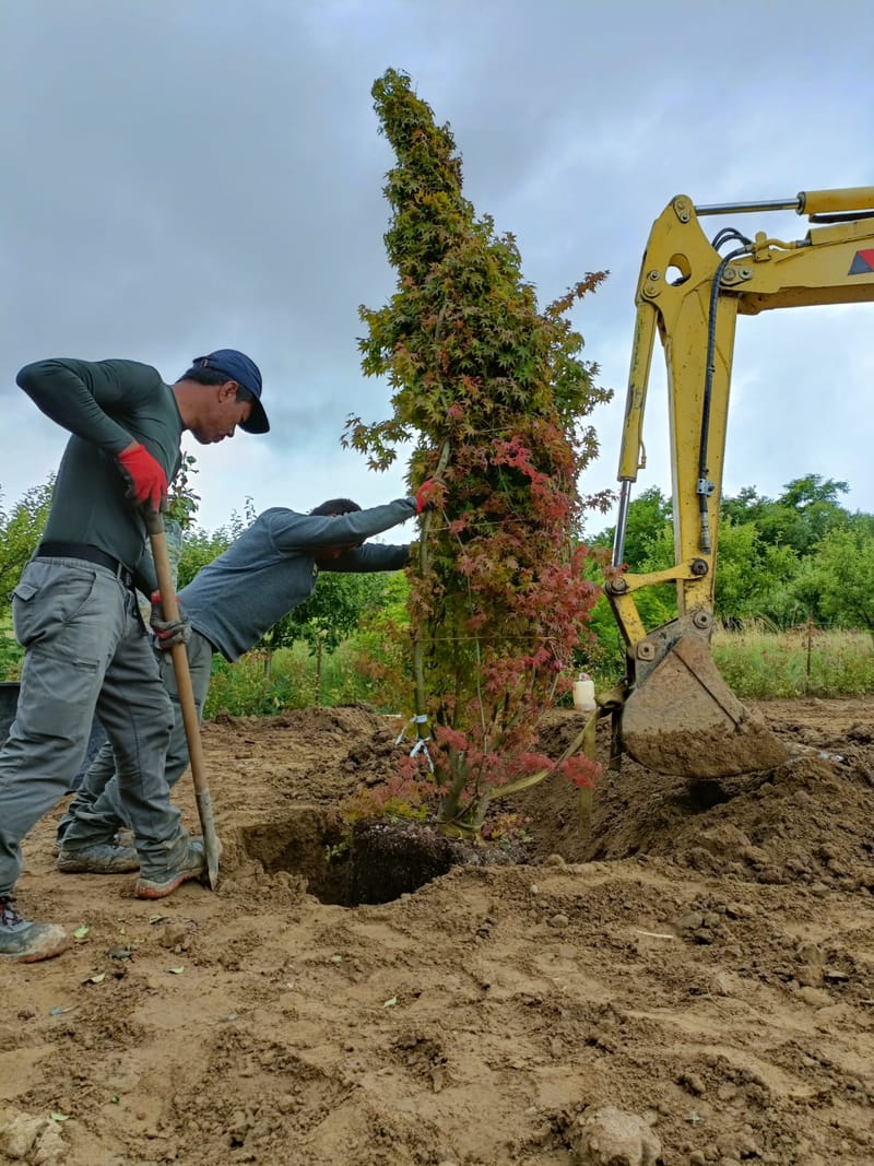 Amenajare curte stil mediteranian