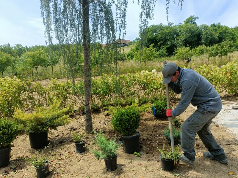Amenajare curte stil mediteranian