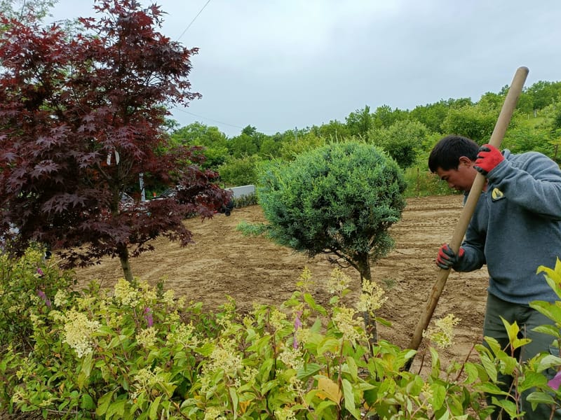 Amenajare curte stil mediteranian