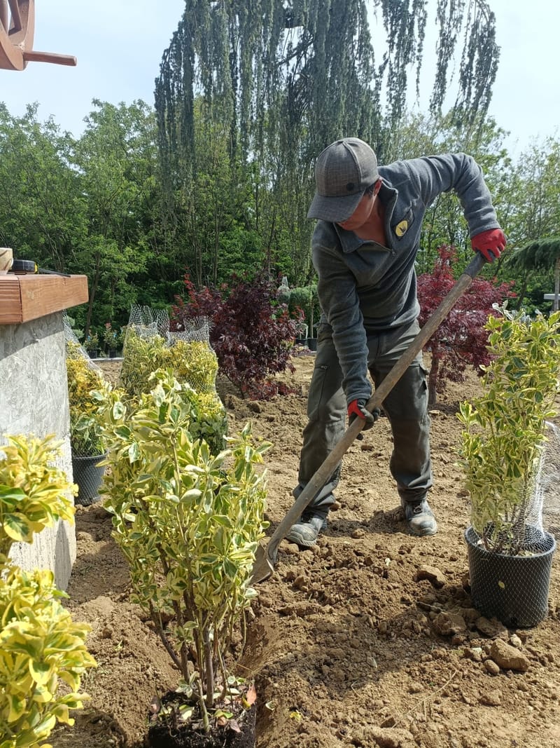 Amenajare curte stil mediteranian