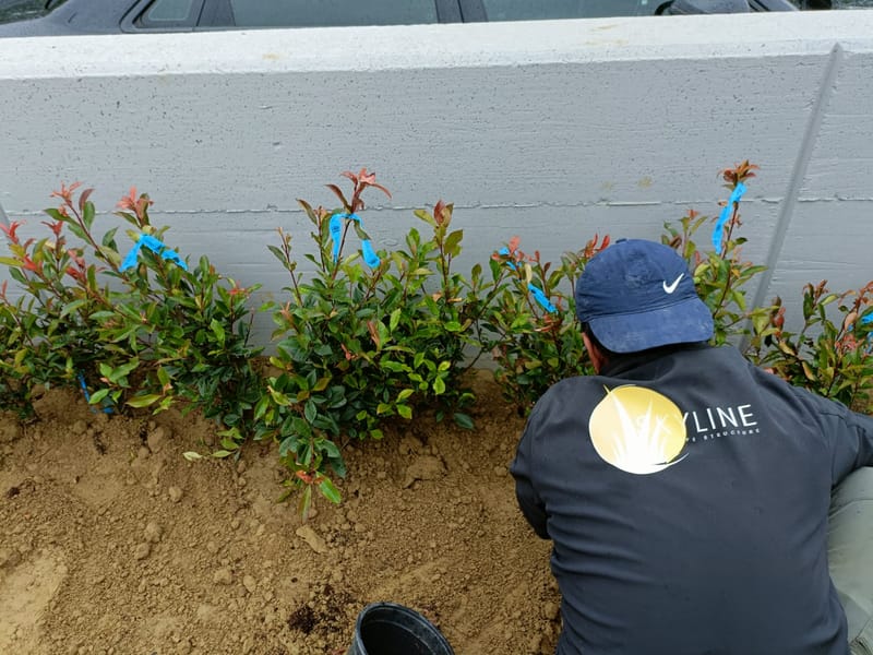 Amenajare curte stil mediteranian