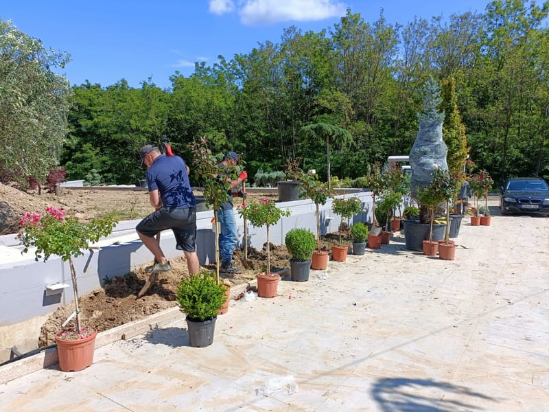 Amenajare curte stil mediteranian