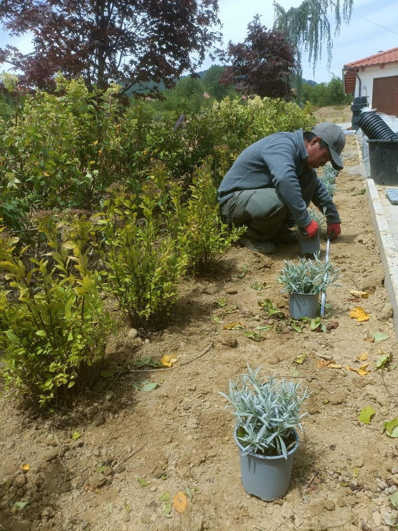 Amenajare curte stil mediteranian