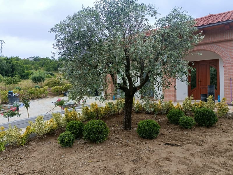 Amenajare curte stil mediteranian