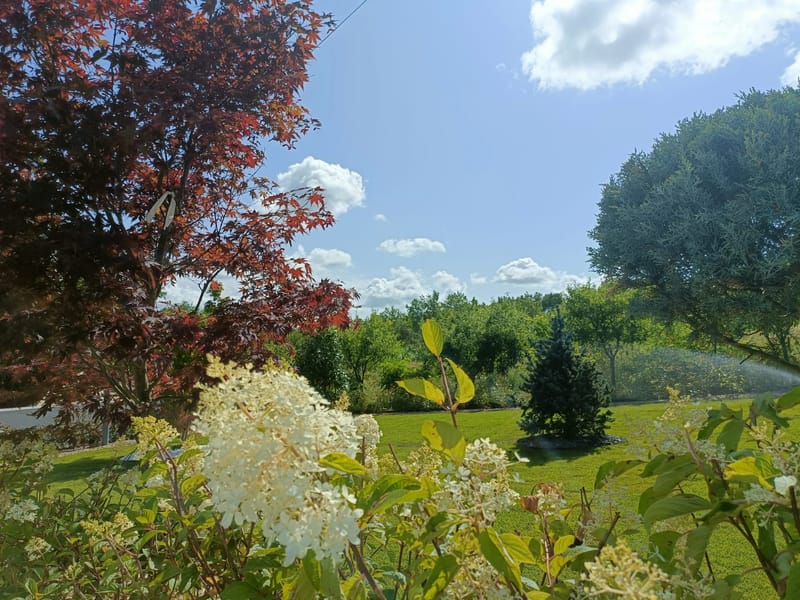 Amenajare stil mediteranian