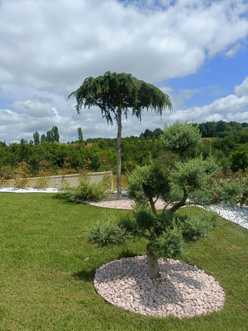 Amenajare stil mediteranian