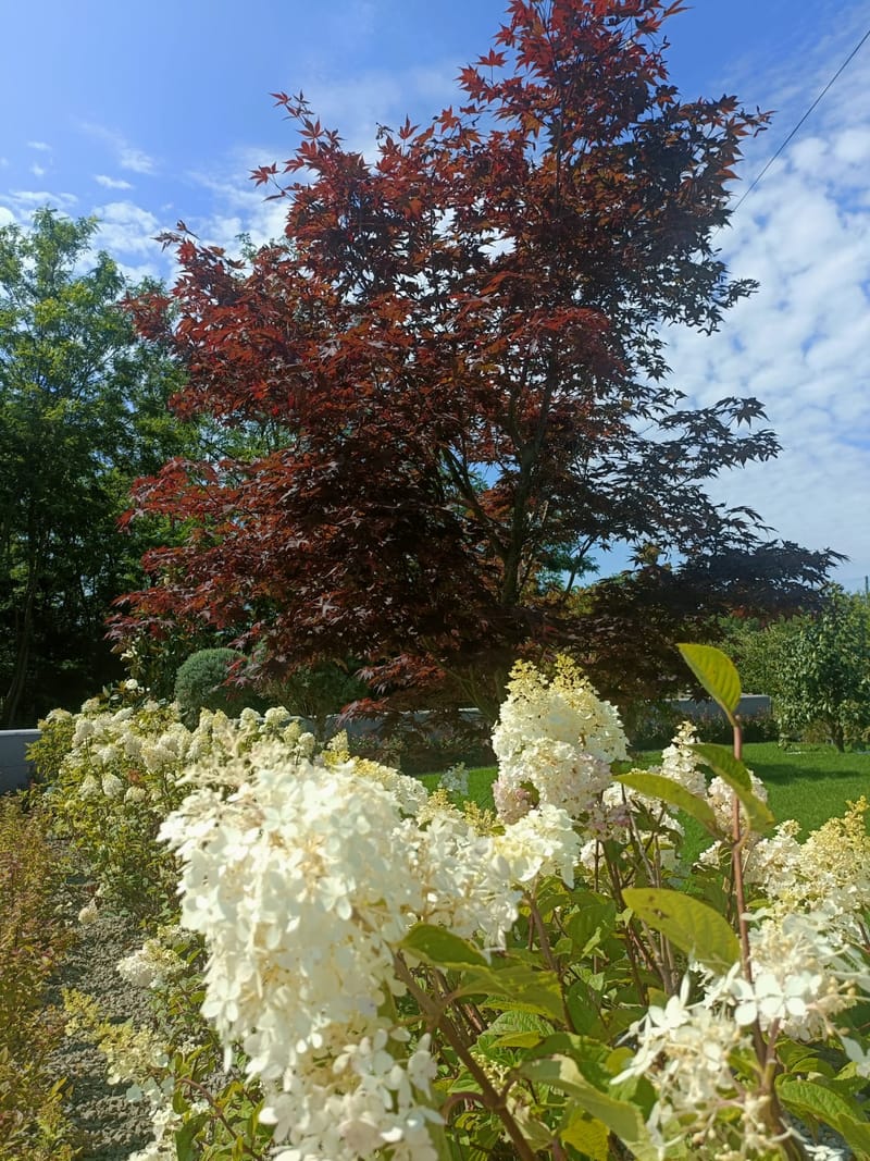 Amenajare stil mediteranian