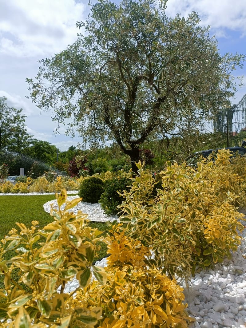 Amenajare stil mediteranian