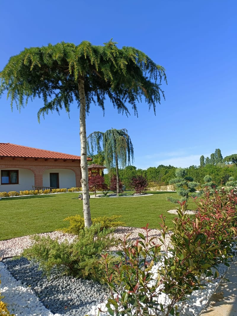 Amenajare stil mediteranian