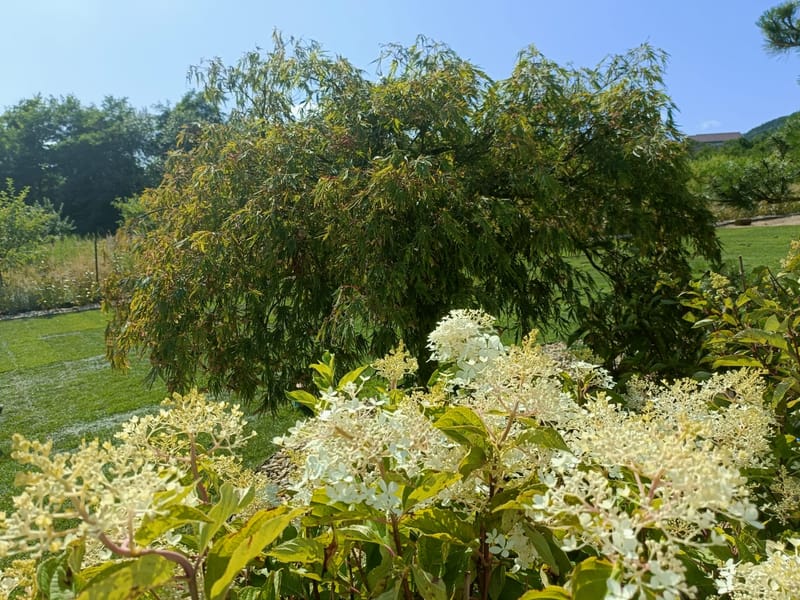 Amenajare stil mediteranian