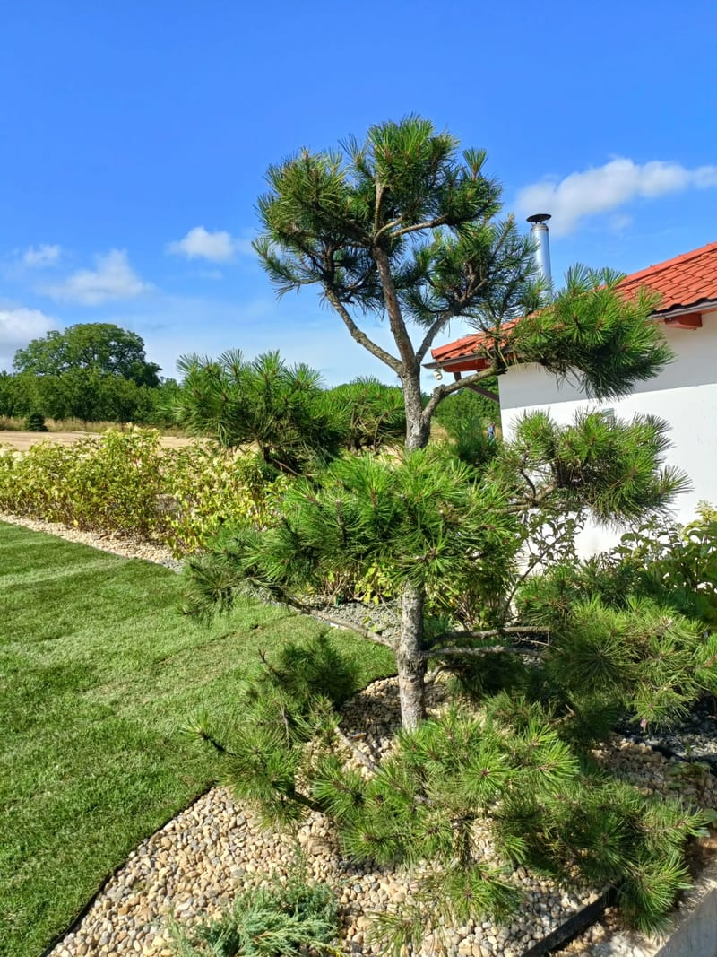 Amenajare stil mediteranian