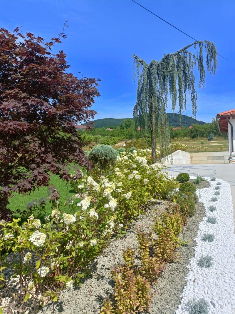 Amenajare stil mediteranian