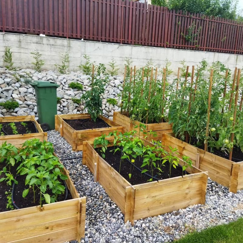 Amenajare curte privata 