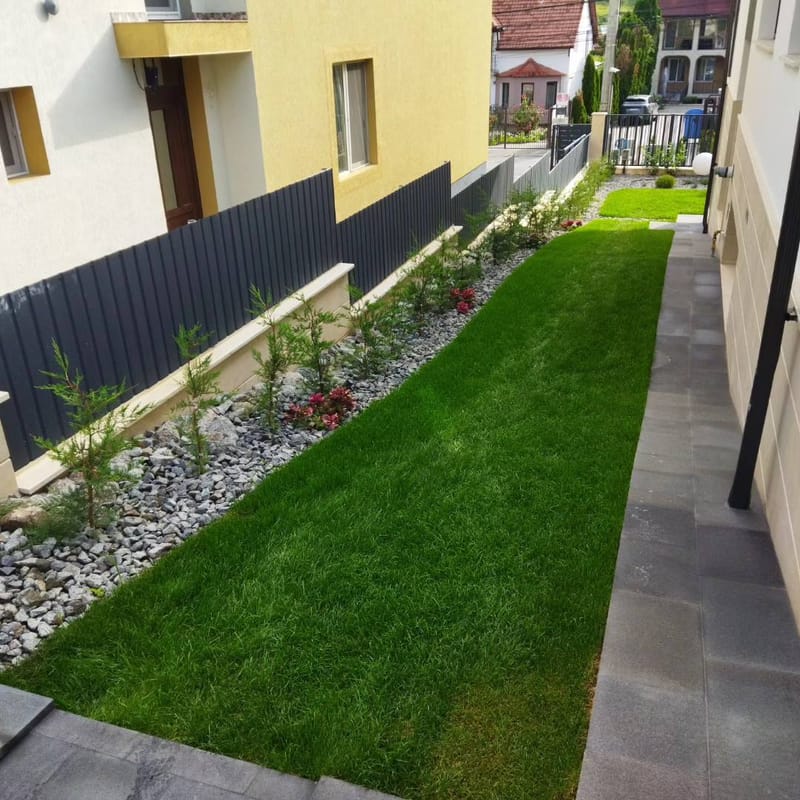 Amenajare curte privata 