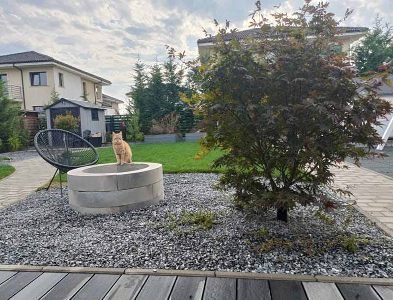 Design cu spatii luminoase și aerisite