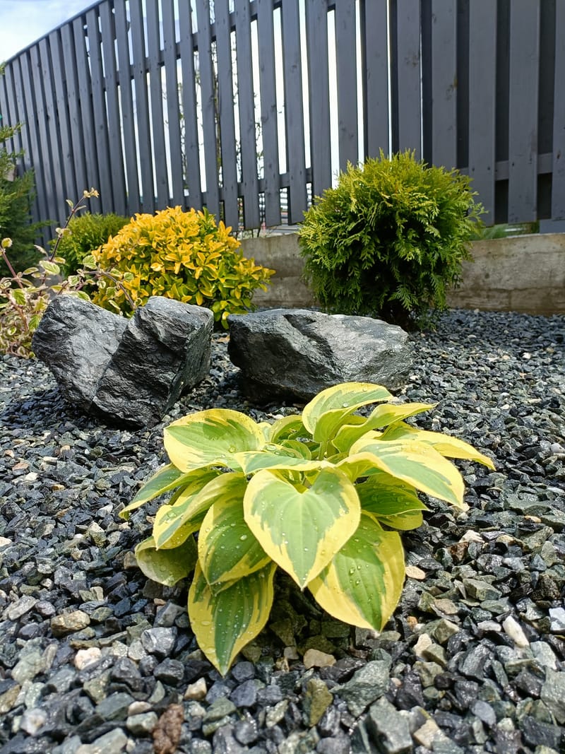 Culori și texturi, într-o grădină chic.