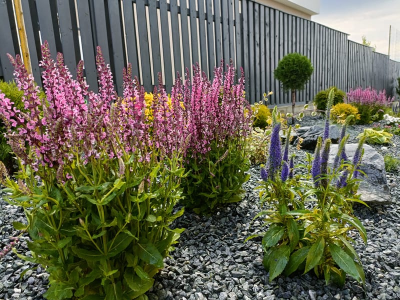 Culori și texturi, într-o grădină chic.