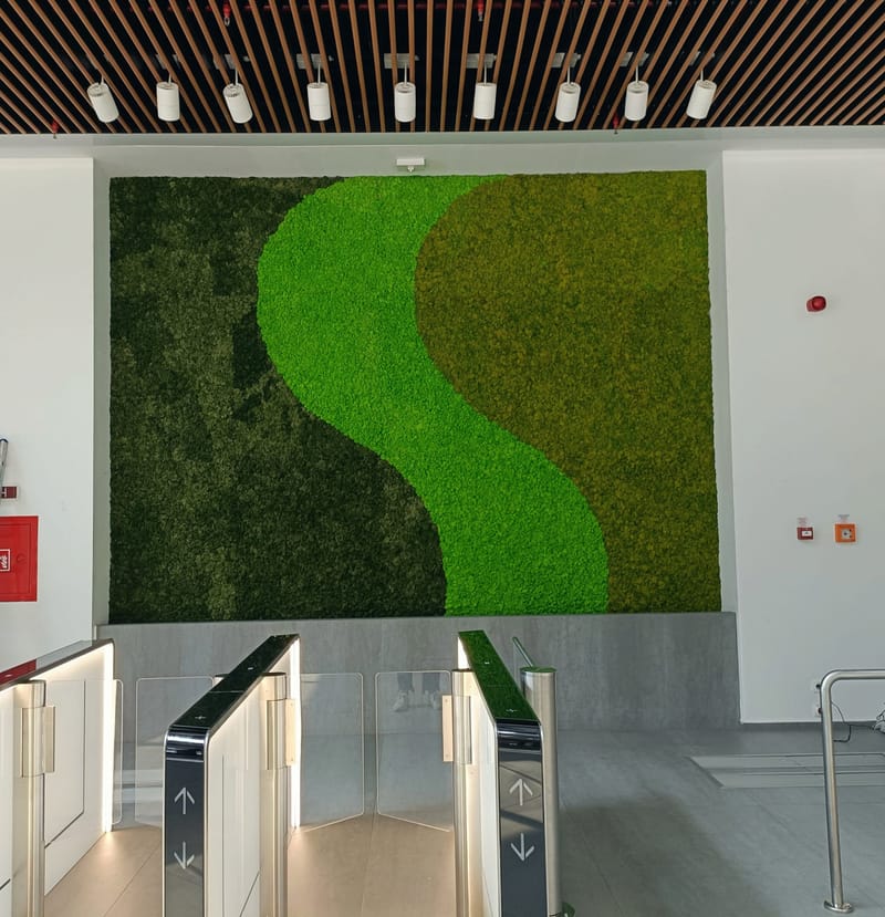 Perete din licheni stabilizați