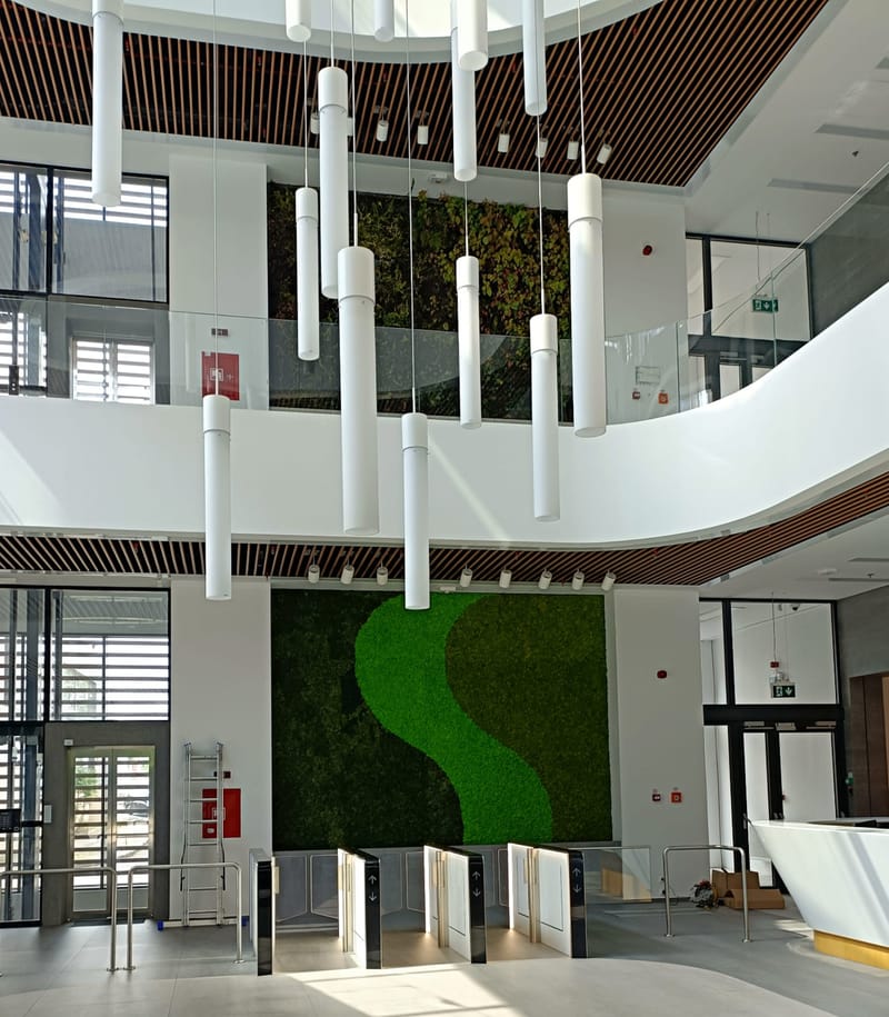 Perete din licheni stabilizați