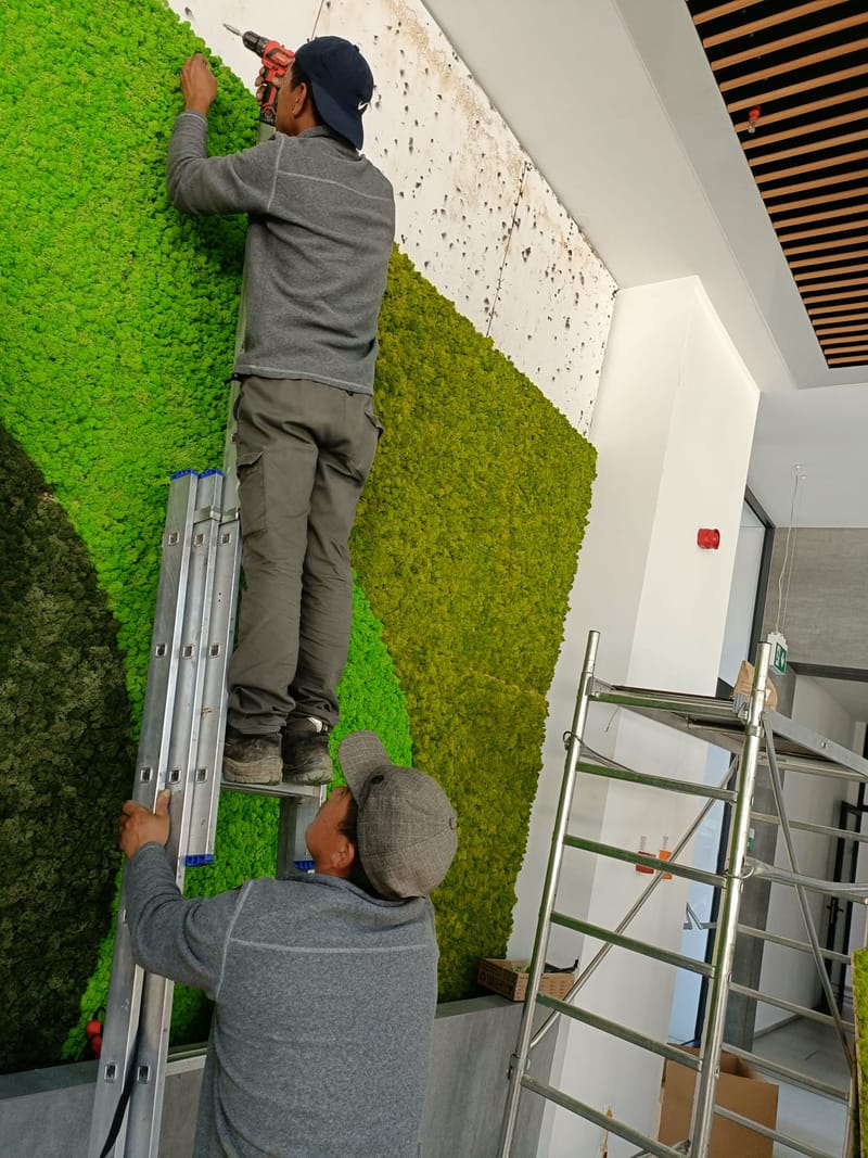 Perete din licheni stabilizati