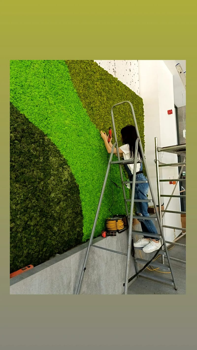 Perete din licheni stabilizati