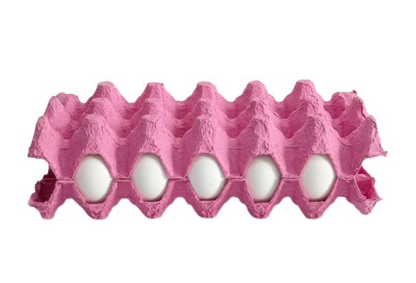 RECYCLAGE & MASQUE JETABLE