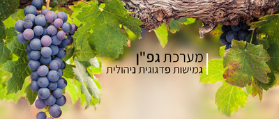 מערכת גפ&quot;ן image